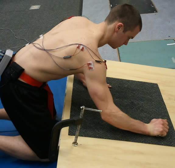 A volunteer scrapes a carpet, mimicking the action that might have given Neanderthals their big right arms.