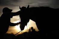 <p>A worker washes a horse named Stylish D’Oro after a morning workout at Churchill Downs ahead of the Kentucky Derby, May 2, 2013, in Louisville, Ky. (AP Photo/David Goldman, File) </p>