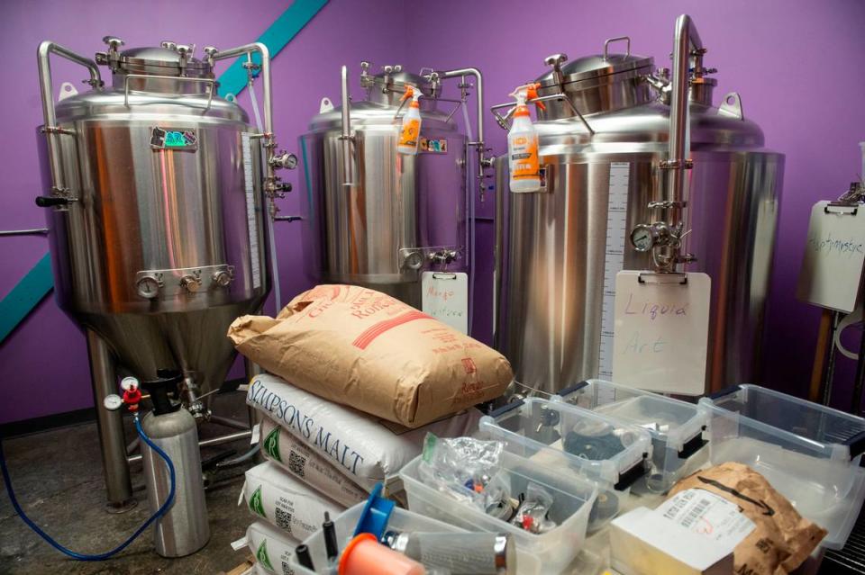 Fermentors are lined up inside the purple brewing room inside Altered Reality Brewing on Howard Avenue in Biloxi.