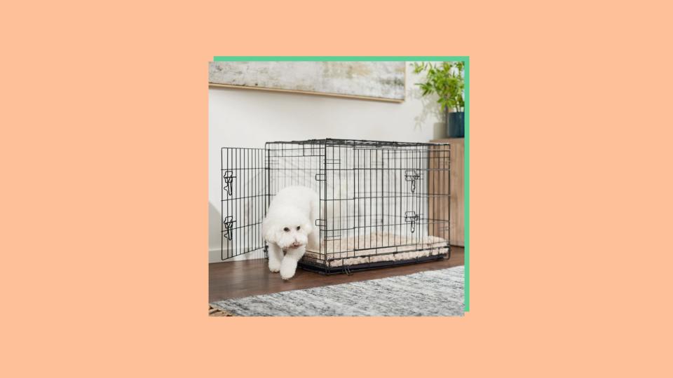 puppy essentials: crate