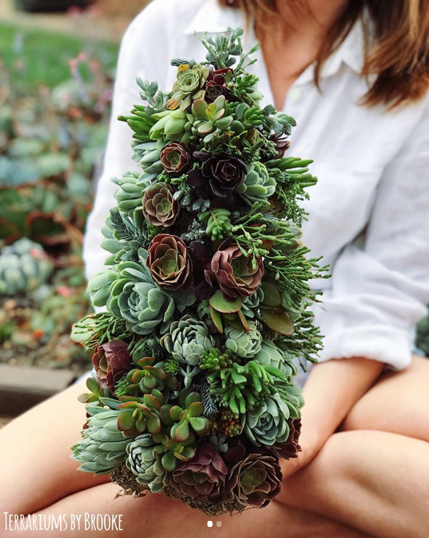 <p>Utiliza un cono de jardinería de espuma, alambres y musgo para rellenar los huequitos que te sobren.<br><br>(Foto Instagram @terrariumsbybrooke) </p>