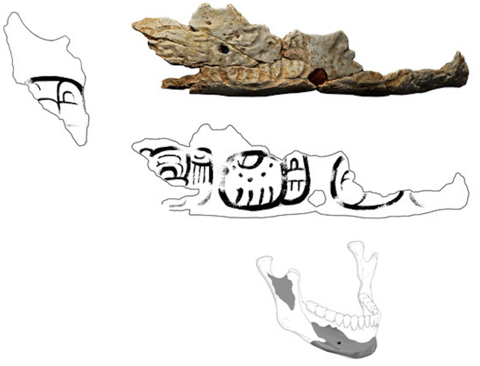 Fragment of the Pacbitun trophy skull. <a href="https://doi.org/10.1017/laq.2019.1" rel="nofollow noopener" target="_blank" data-ylk="slk:Drawings by Christophe Helmke; Laserscan model by Jesse Pruitt;elm:context_link;itc:0;sec:content-canvas" class="link ">Drawings by Christophe Helmke; Laserscan model by Jesse Pruitt</a>, <a href="http://creativecommons.org/licenses/by-nd/4.0/" rel="nofollow noopener" target="_blank" data-ylk="slk:CC BY-ND;elm:context_link;itc:0;sec:content-canvas" class="link ">CC BY-ND</a>