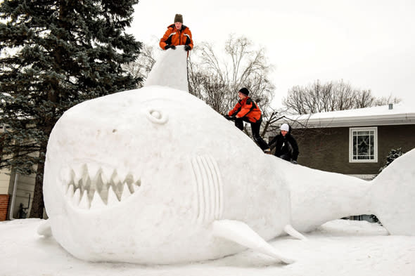 Mandatory Credit: Photo by MCT/REX (3479053e)Brothers Connor, Trevor and Austin BartzBrothers build 16ft high snow shark, New Brighton, Minneapolis, Minnesota, America - 01 Jan 2014With school being closed due to the bad weather, brothers Connor, Trevor and Austin decide to go one better than your average snowman. Collecting snow from their neighbourhood, the Minnesota trio spent 95 hours creating a 16ft snow shark.