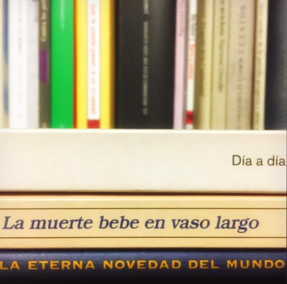 <p>García crea poemas juntando los títulos de los libros, logrando un interesante resultado. Actualmente, tiene más de 2 mil seguidores en <em>Instagram</em>. </p>