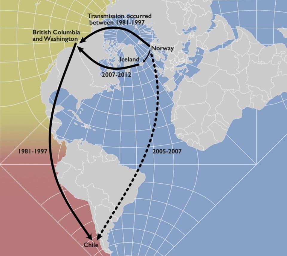 map showing the movement of Piscine orthoreovirus from Norway to the western coast of North America and South America.