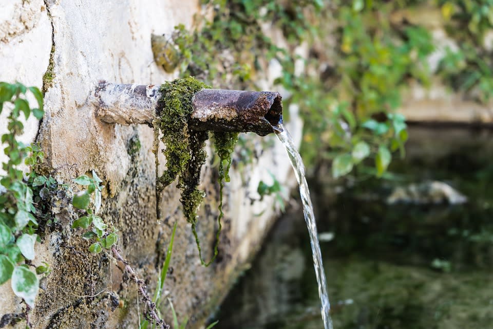 Beber agua de un manantial puede ser peligroso.