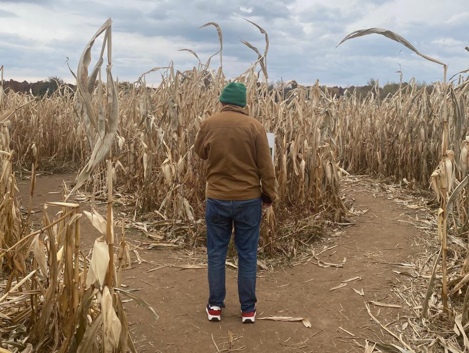alexis' partner standing at a corn maze in the us