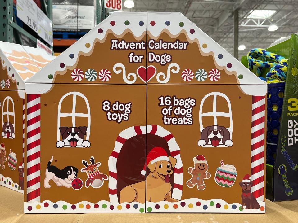 Brown and white dog advent calendar at shelf on costco