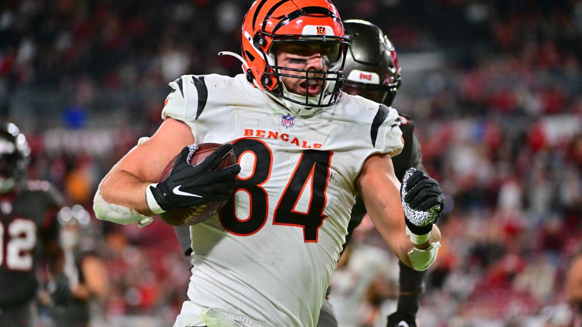 Rookie Profile: How does Mitchell Wilcox fit with the Bengals? - Sports  Illustrated Cincinnati Bengals News, Analysis and More