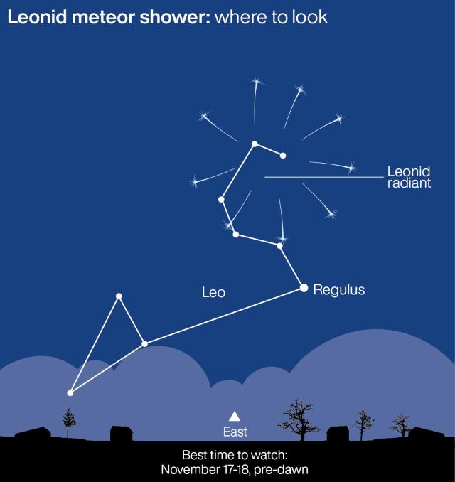Leonid meteor shower to light up skies over Britain