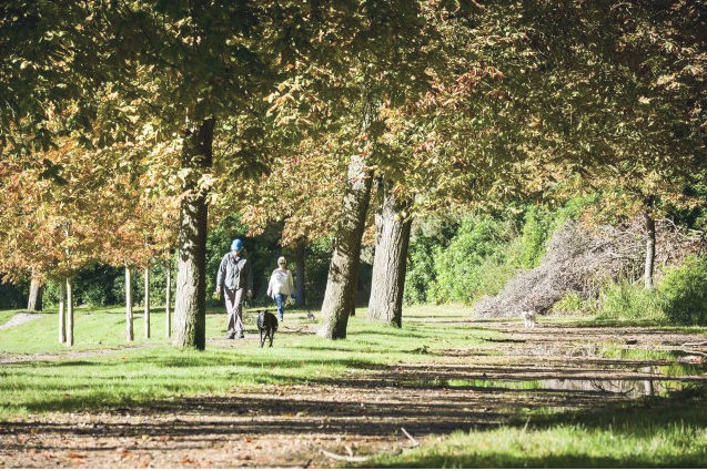 Forget the gym! Walking is better for your health and weight