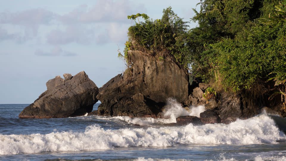 Grande Riviere is Trinidad’s prime sea turtle nesting beach. - Michael Dwyer/Alamy