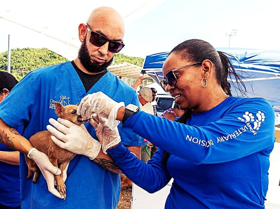 Volunteering at an animal shelter is a rewarding way to contribute to the welfare of animals in need.<p>Photo by Liz Roll/FEMA</p>