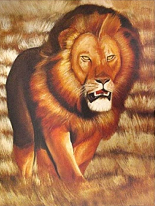 Lion Roaming