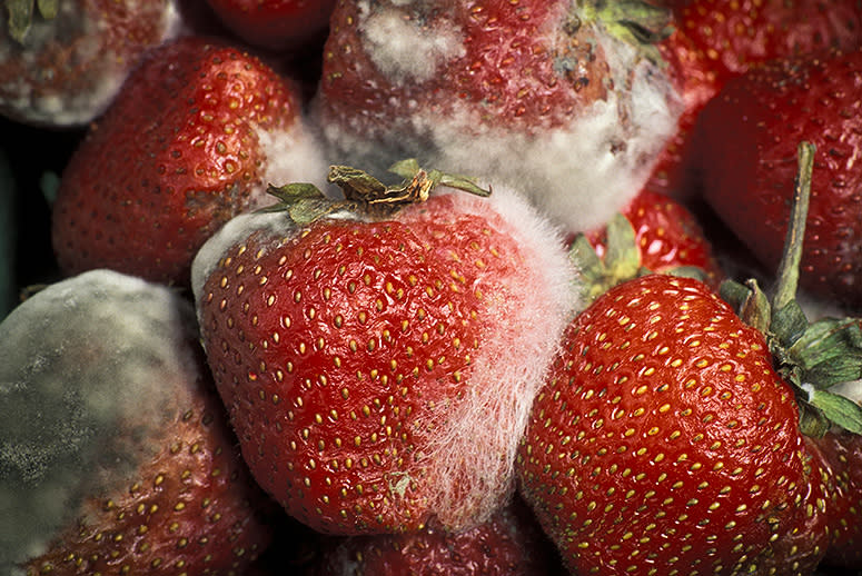 Save Those Spoiling Strawberries!