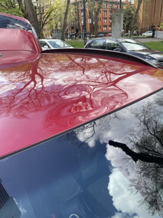 A woman's car roof was dented after someone throwed cans from a high-rise apartment in downtown Portland. May 16, 2024 (courtesy Lauren Ellis). 