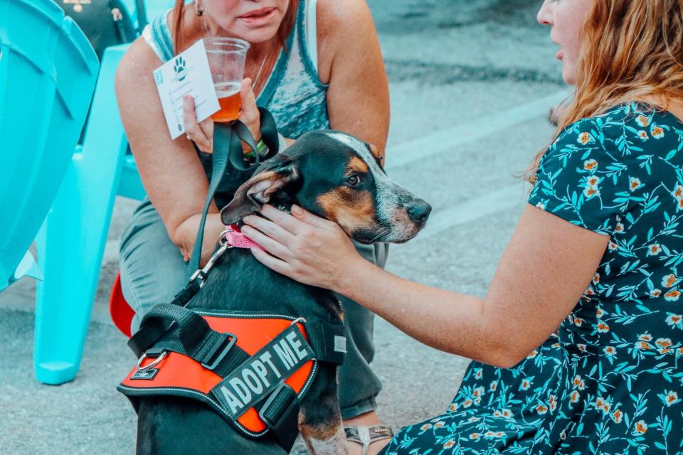 Looking for a new BFF? There will be an adoption booth at the Second Annual West Palm Beach Beer Festival where potential owners can find out how to adopt.
