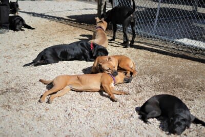 These Playgroup Rockstars took a well-deserved nap after a fun playdate together.