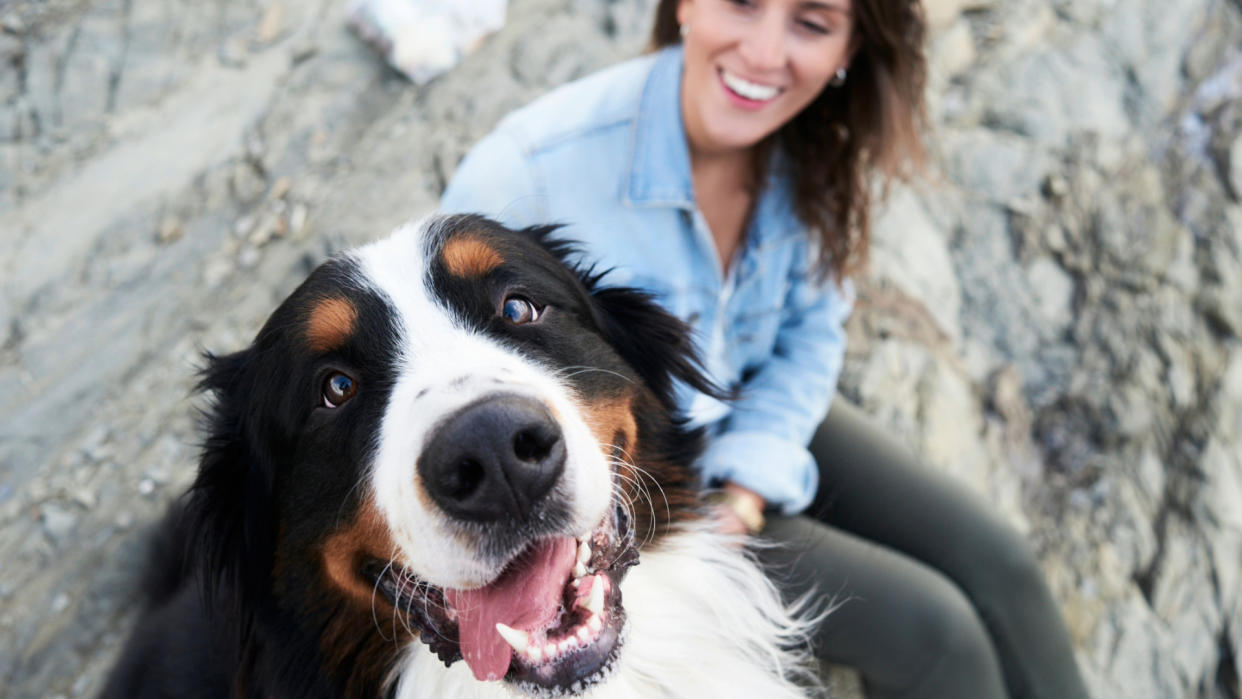  Dog looking happy next to owner. 