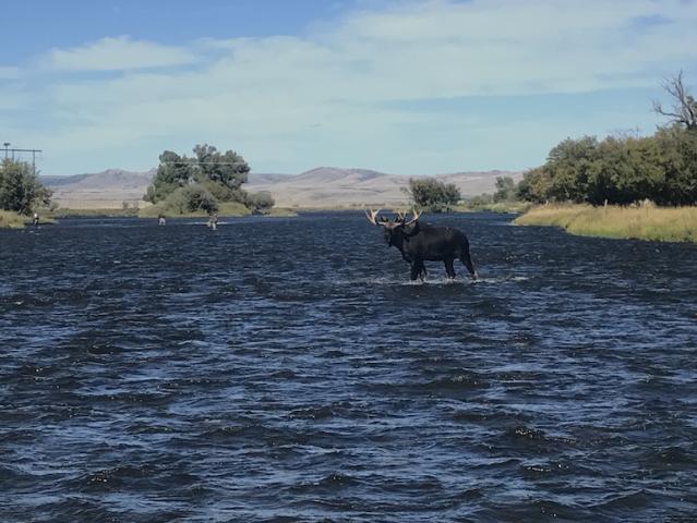 Fly-fishing Montana's Madison River…in photos - Yahoo Sports