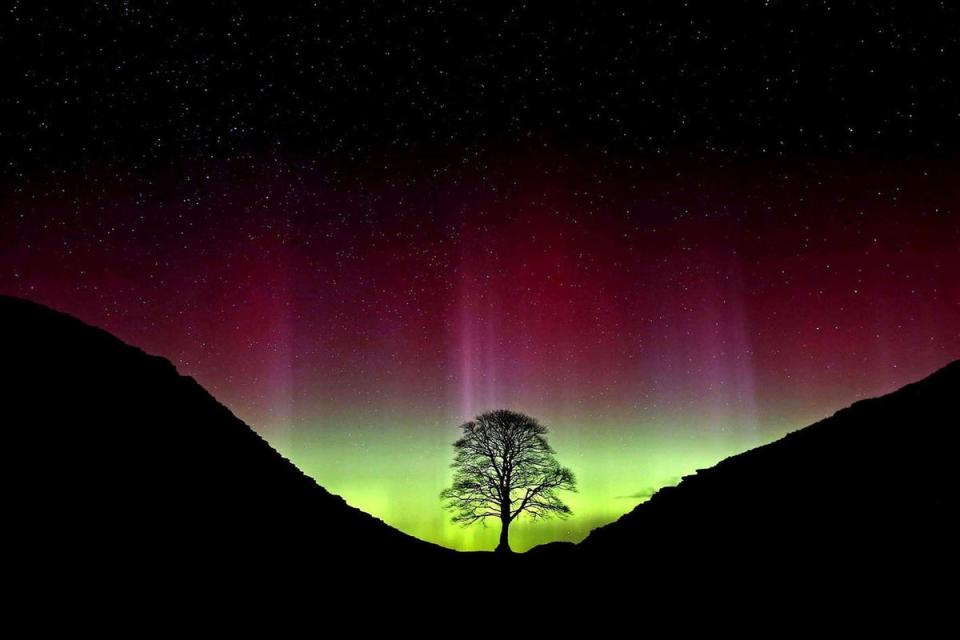 The former tree at Sycamore Gap, at Hadrian’s Wall near Crag Lough, Northumberland, taken showing the Northern Lights (Owen Humphreys / PA)