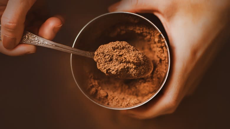 Spoonful of cocoa powder