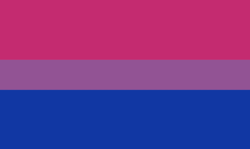 7) Bisexual Flag