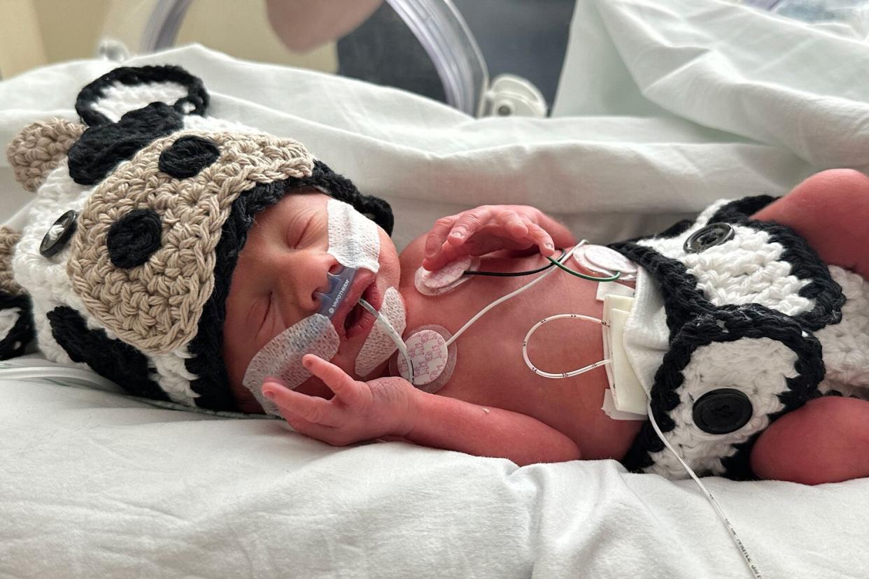 Virginia Medical Center Shares NICU Babies Halloween 'Barnyard Bash' Themed Costume Contest