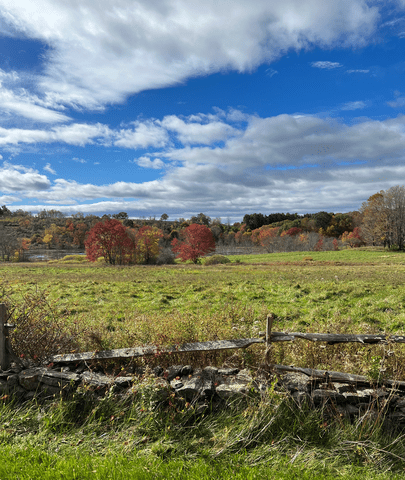 <p>Madeline Hirsch</p> Fall foliage views in Washington, CN.