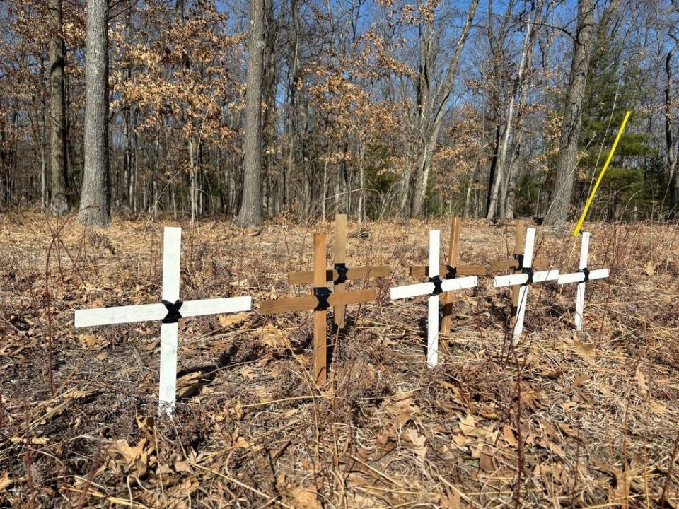 A memorial near the accident site pay tribute to the nine people that were killed in the tragic crash.