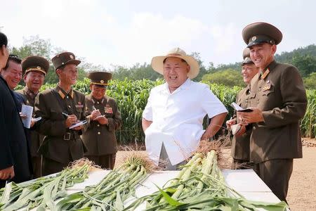 FILE PHOTO: North Korean leader Kim Jong Un gives field guidance to Farm No. 1116 under the Korean People's Army (KPA) Unit 810 in this undated photo released by North Korea's Korean Central News Agency (KCNA) in Pyongyang August 13, 2015. KCNA via REUTERS/File Photo