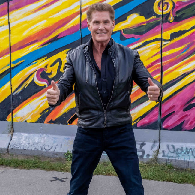 David Hasselhoff tiene un 'ego saludable' credit:Bang Showbiz