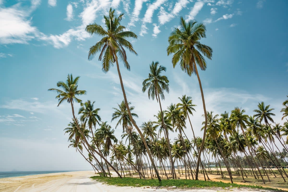 Al Haffa is one of the longest city beaches in Oman (Getty Images)