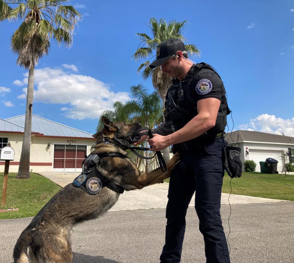 Port St. Lucie Police Officer Corey Krecic with K-9 Jaxson who apprehended Ernest Lee Reese Monday Feb. 27, 2024. Police say Reese, 28, escaped from Fort Pierce Police custody Monday about 7:30 a.m. before carjacking a vehicle near HCA Florida Lawnwood Hospital in Fort Pierce.