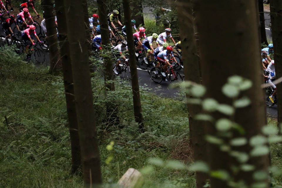 The pack rides during the sixth stage of the Tour de France cycling race over 160 kilometers (100 miles) with start in Mulhouse and finish in La Planche des Belles Filles, France, Thursday, July 11, 2019. (AP Photo/Christophe Ena)