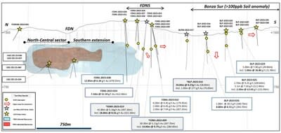 Figure 3: FDN-Bonza Sur long section (looking East) showing targets and selected results (CNW Group/Lundin Gold Inc.)