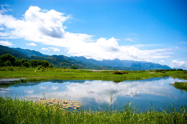 玉里濕地可盡覽花東縱谷的美景與生態環境 (圖片來源／花東縱谷國家風景區管理處)