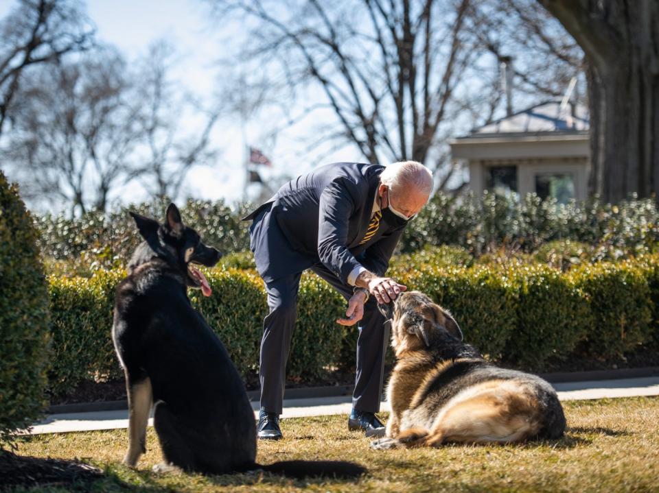 President Joe Biden plays with the Biden family dogs Champ and Major in 2021.