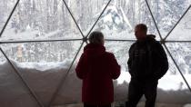 Treetop getaway: Geodesic domes coming to P.E.I.