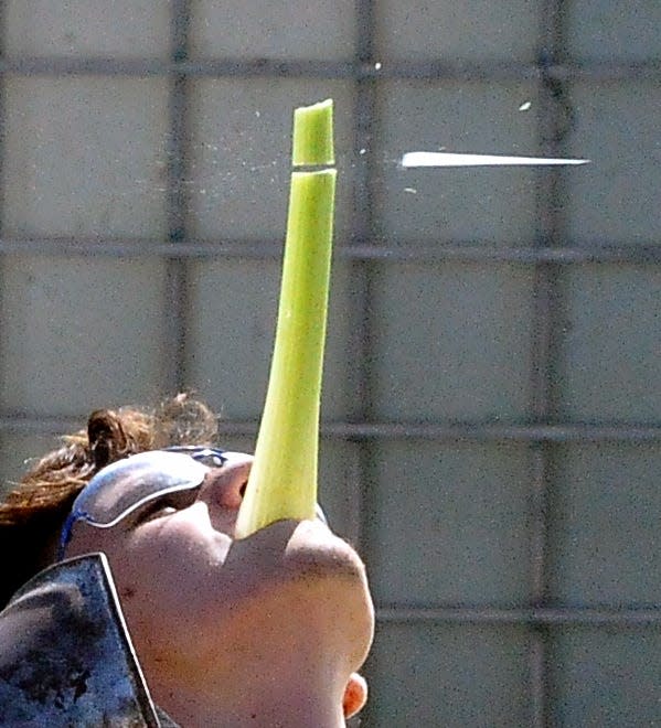 Magician Rick Smith Jr., a world record holder in playing card throwing, splits a stalk of celery held by Dustin Miller in his mouth.