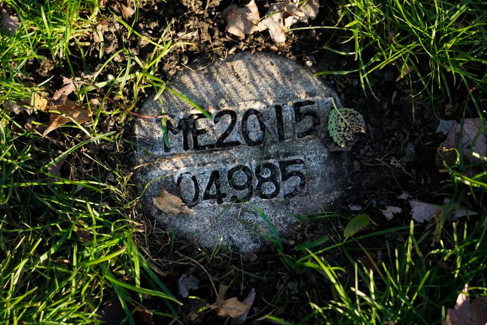 A cement marker in a section for unclaimed people at the Mt. Olivet Cemetery Monday, Nov. 13, 2023 in Chicago, displays the Cook County Ill., Medical Examiner's 4,985th case in 2015, at the burial location for a person who self-identified as Seven at the time of their death in 2015. Eight years later, Cook County, Ill., Sheriff's Commander Jason Moran's team, who investigates missing persons, found the true identity through military records of Seven as Reba C. Bailey. The impersonal marker will eventually be replaced with a U.S. veteran's marker. (AP Photo/Charles Rex Arbogast)