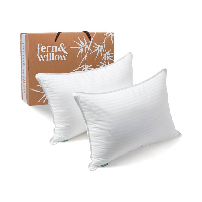 Fern and Willow Pillows