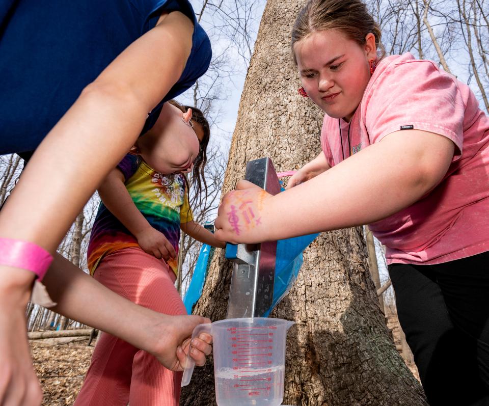 Fifth-grade students from the Indian Community School in Franklin learn how to tap maple trees for sap on Feb. 27, 2024, in the Wehr Nature Preserve.