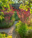 <p> If there is enough room, divide areas with planted barriers for a feeling of a journey through the garden to hidden places. </p> <p> You can create an illusion of space with planting. Curving pathways running between a profusion of flowers and plants can be more interesting and create mystery, generating a surprise around every turn. </p>