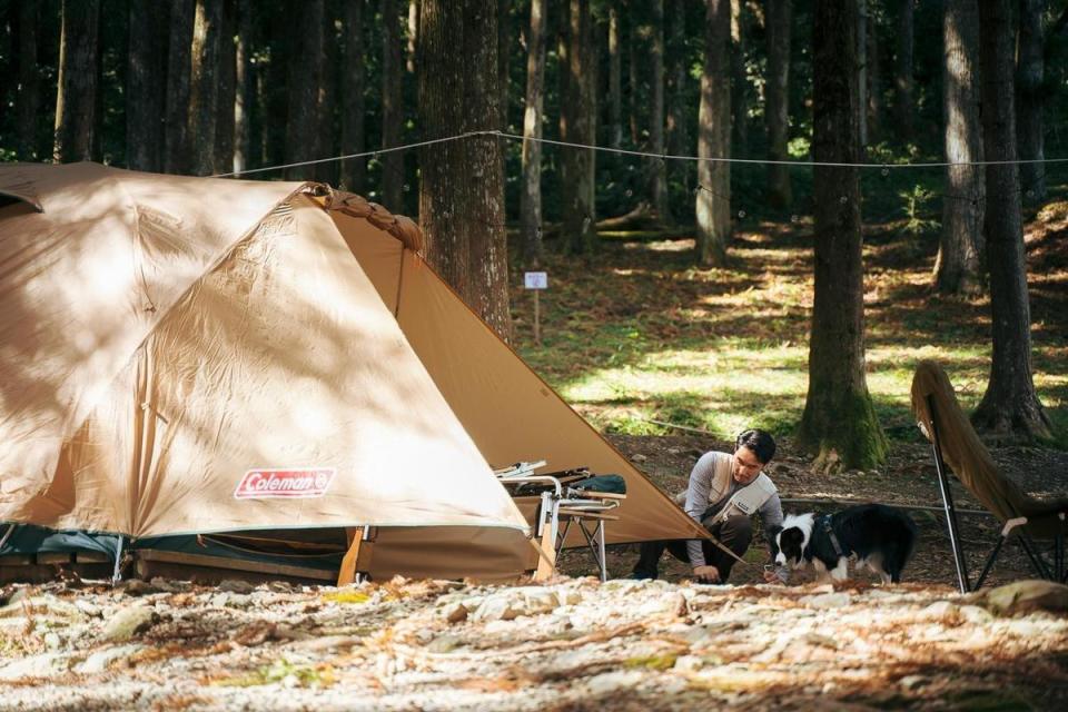 第5、6集節目赴新竹尖石鄉「起初露營區」取景，營地被高聳杉木林包圍。（TVBS提供）