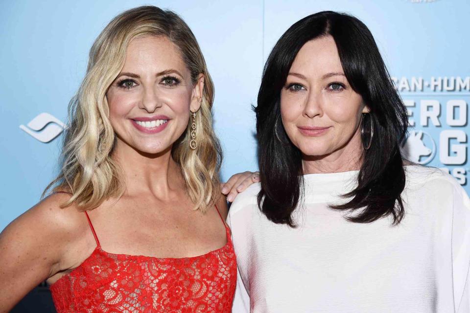 <p>Amanda Edwards/WireImage</p> Sarah Michelle Gellar and Shannen Doherty 