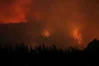 Wildfire burns in Chile