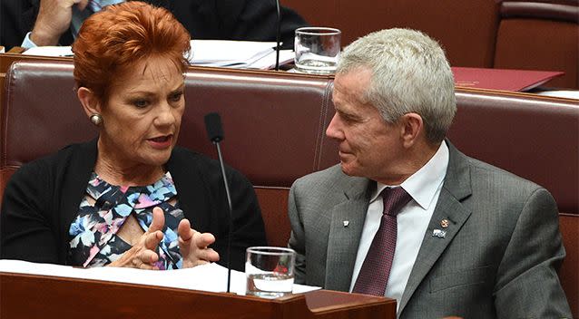 One Nation Senator Malcolm Roberts speaks with Senator Pauline Hanson. Photo: AAP