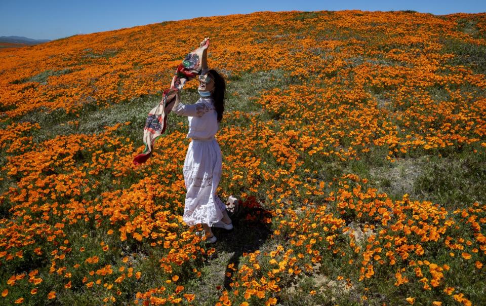 Vivi Zhao of Santa Monica dances among blooming California poppies in Lancaster outside of the perimeter of the California Poppy State Natural Reserve.