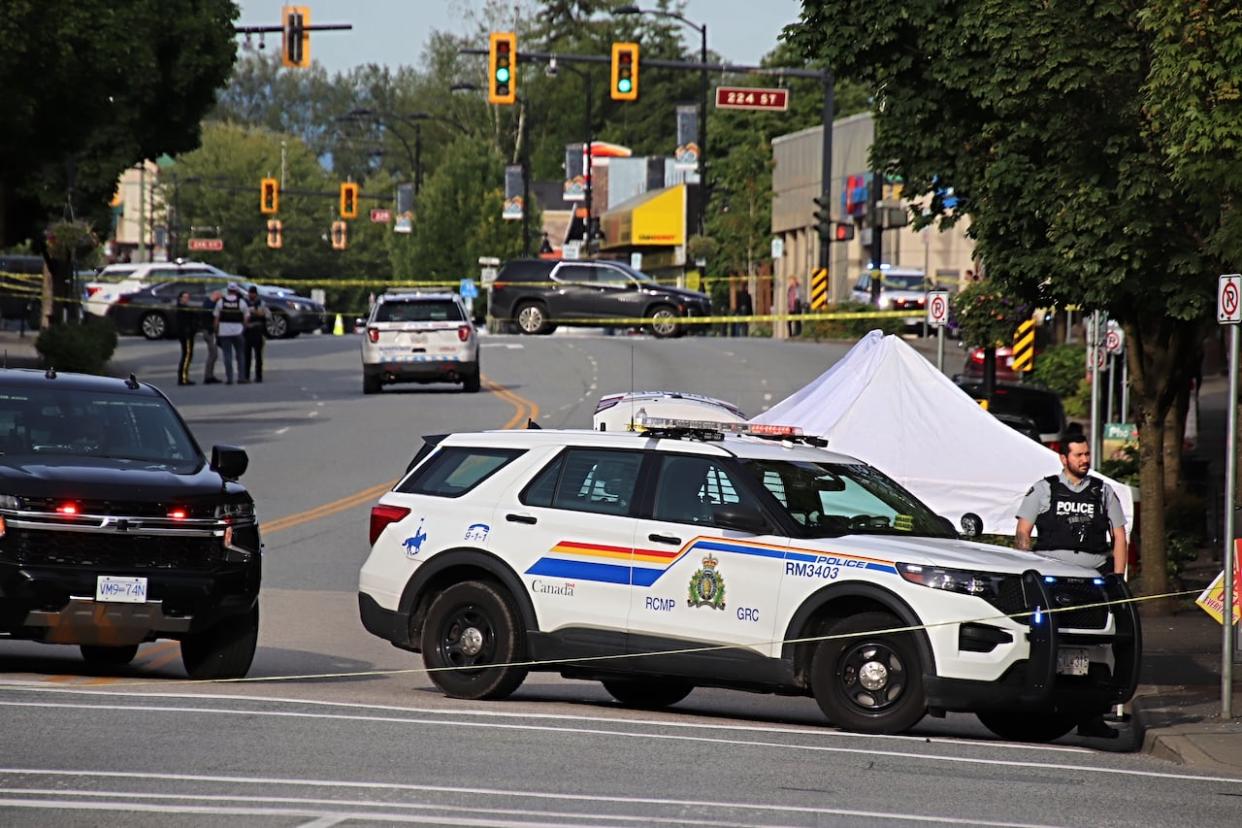 Investigators say they have identified the man who died in a fatal shooting in Maple Ridge, B.C., on May 31, 2024, but are not releasing his name until family has been notified. (Shane MacKichan - image credit)